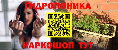 прущие грибы Кунгур