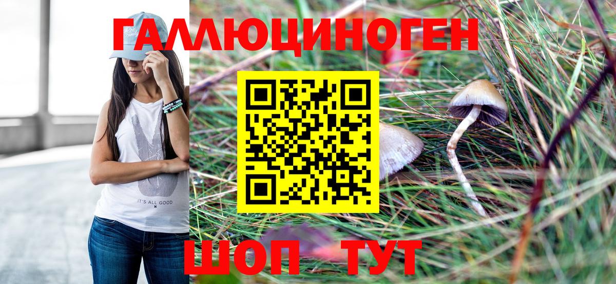 Гурьевск  Псилоцибиновые грибы GOLDEN TEACHER  Вход с VPN 