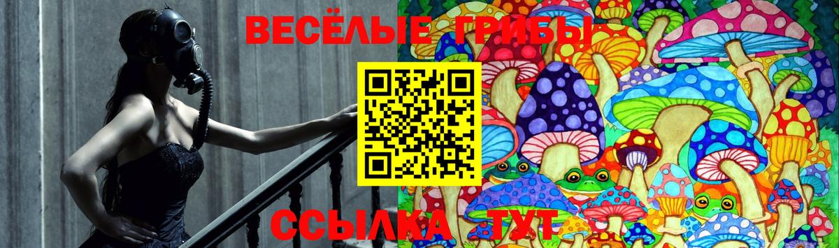 Псилоцибиновые грибы прущие грибы Гурьевск